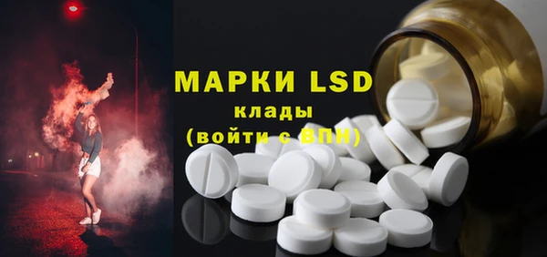 стаф Баксан