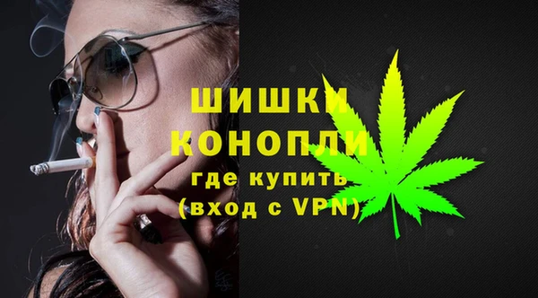 СК Арсеньев